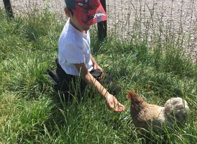 IMG 0310